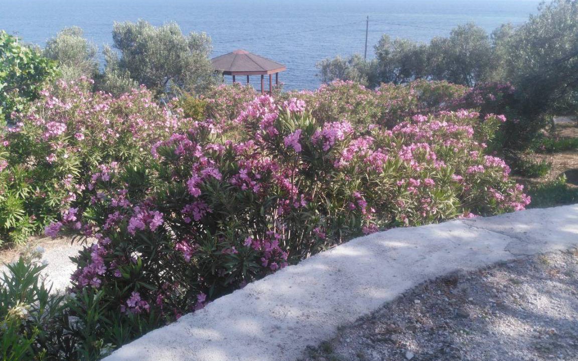 Ayvacik Resort | 22 m² Private room ∙ 1 bedroom ∙ 2 guests
