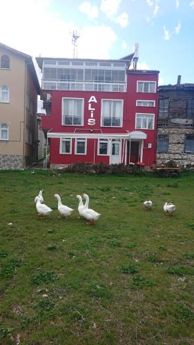 Egirdir Bed & Breakfast | Ali's Pension ada alis