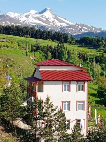 Ardanuc Hotel | Balcı Konukevi