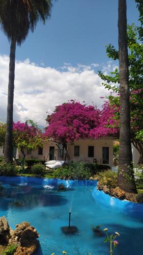 Cirali Resort | Blue & White Hotel