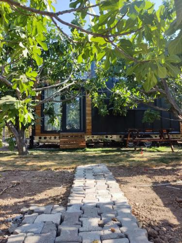Dikili Other | Dikili ZeyTiny House