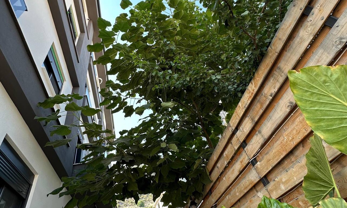 Demre Apartment | Doğan homes likya