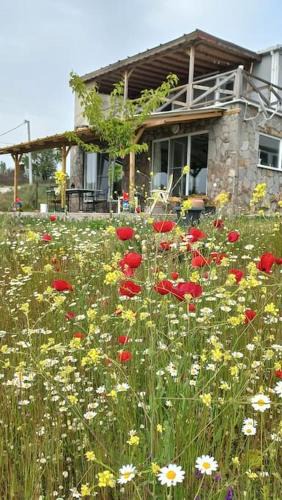 Ayvacik House | Egedebirnefes Assos