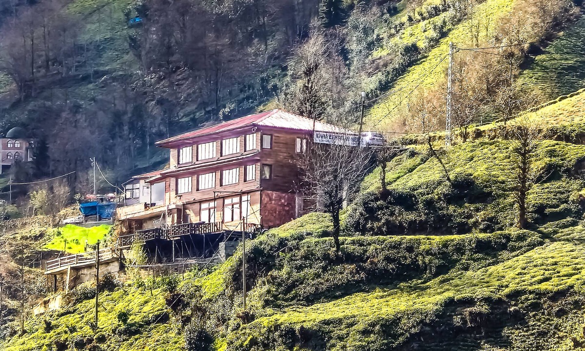 Ayder Hotel | Kinya Bungalov Hotel