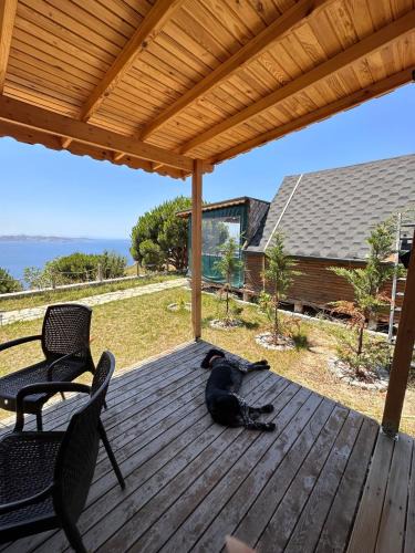 Marmara Other | MOLA Bungalow