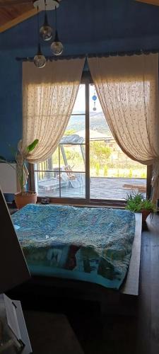 Derekoy House | mor salkım bahçe
