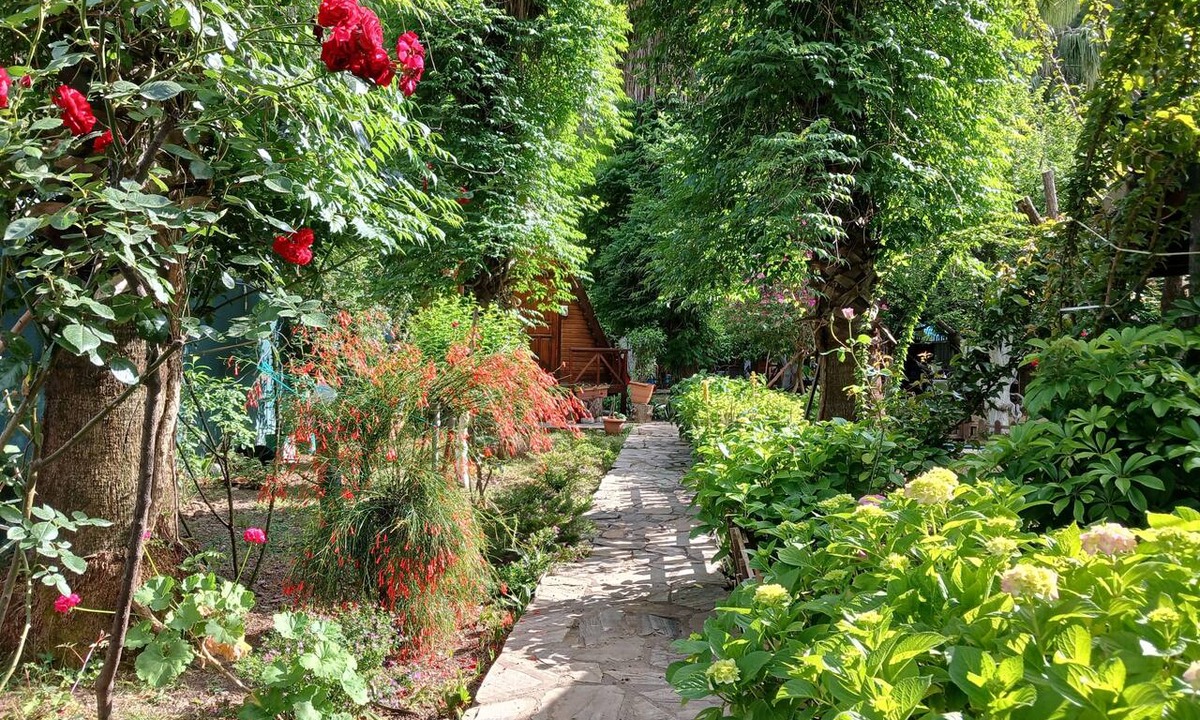 Cirali Bed & Breakfast | Oran Pansiyon