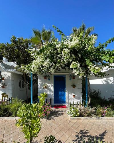 Oludeniz City Center Cabin | Sunmed Lodge