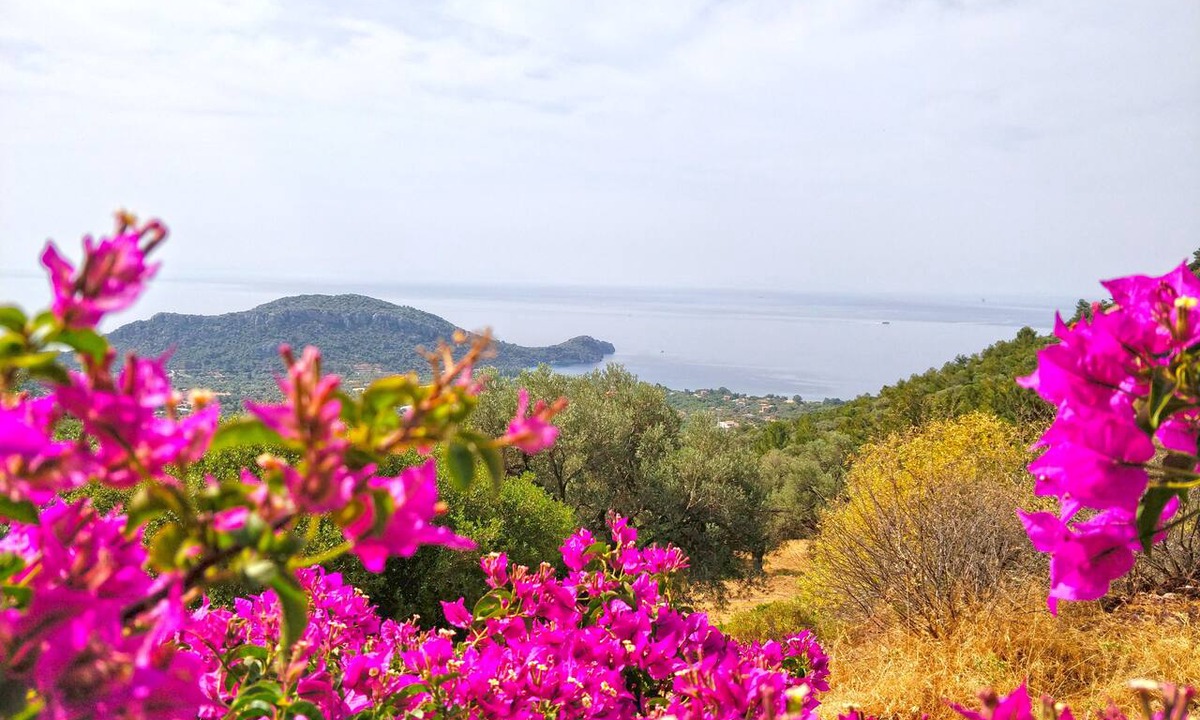 Mesudiye Hotel | Zephyros Hotel