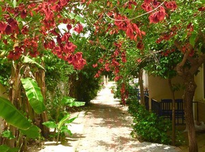 Hotel | Fethiye City Center