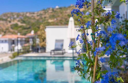 Avlana Villa | 130 m² Villa ∙ 2 bedrooms ∙ 6 guests