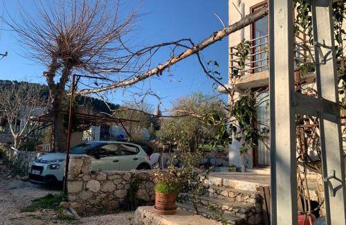Sarıbelen Bed & Breakfast | 15 m² Bed and breakfast ∙ 2 guests