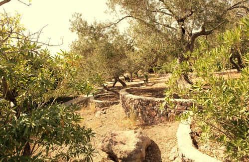Ayvacik Resort | 22 m² Private room ∙ 1 bedroom ∙ 2 guests
