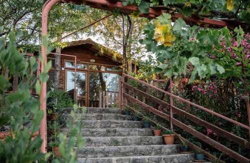Ayvacik Bed & Breakfast | 45 m² Bed and breakfast ∙ 5 guests