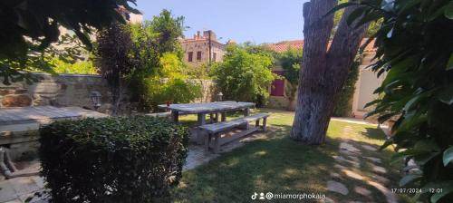 Foca Bed & Breakfast | 60 m² Bed and breakfast ∙ 4 guests