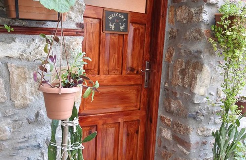 Selcuk Hostel | Hostel ∙ 8 guests