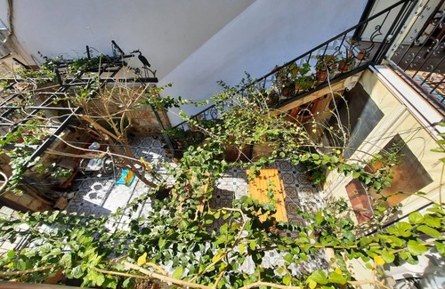 Selcuk Hostel | Hostel ∙ 8 guests