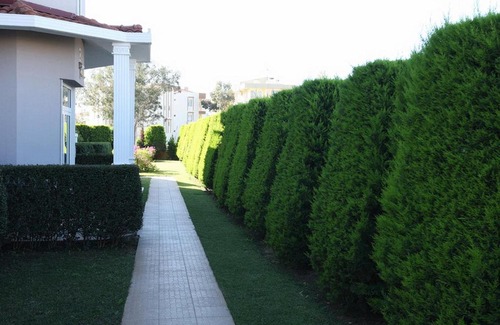 Belek Apartment | Olympias Court D