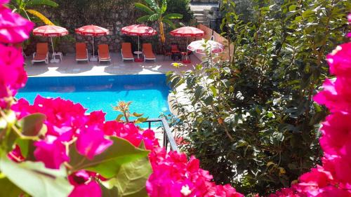 Oludeniz Hotel | Sarıhan Apart Otel