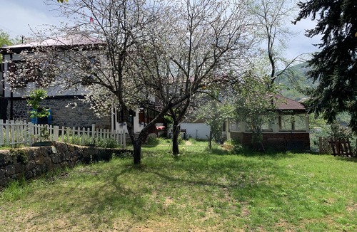 Akcaabat Villa | Şamlıoğlu Historical Mansion