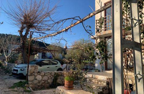 Sarıbelen Bed & Breakfast | 15 m² Bed and breakfast ∙ 2 guests