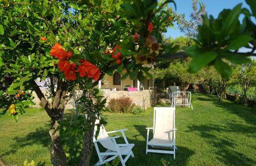 Bozcaada Bed & Breakfast | 16 m² Bed and breakfast ∙ 2 guests