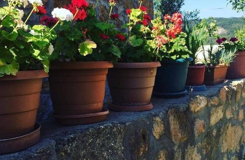 Ayvacik Hotel | 22 m² Hotel ∙ 3 guests