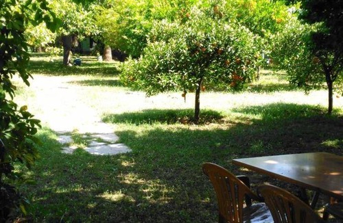 Cirali Cabin | 30 m² Lodge ∙ 2 bedrooms ∙ 4 guests