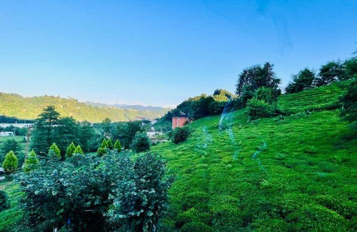 Pazar Apartment | 320 m² Apartment ∙ 2 bedrooms ∙ 4 guests