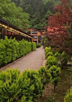 Uzungol Hotel | Akyuz Kardesler Hotel & Bungalow