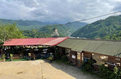 Arakli Hotel | AYVADERE 102 Karadeniz kus cenneti dağ manzaralı