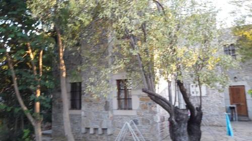 Old Datca Apartment | Badem