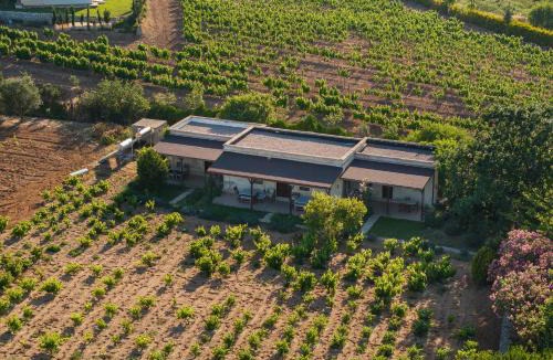 Bozcaada House | Bagbadem Tatil Çiftliği