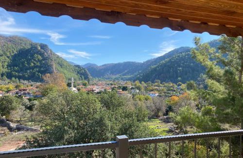 Marmaris Villa | Dadya Villa 3 - Villa with private pool in Marmaris Turgut