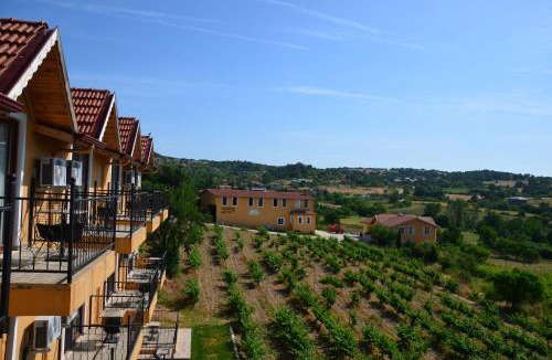 Kirklareli Hotel | Dessera Vineyards Hotel