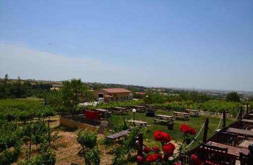Kirklareli Hotel | Dessera Vineyards Hotel
