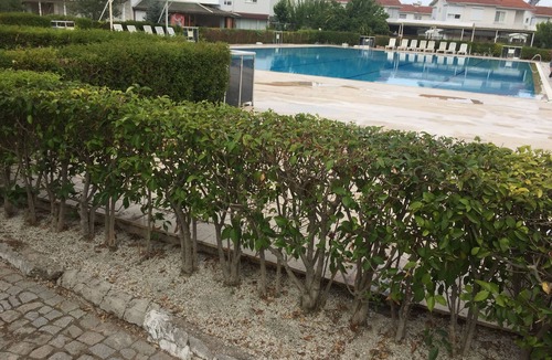 Dikili Villa | Duplex Villa with Shared Pool & Private Garden in Dikili