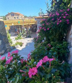 Ayvacik House | Egedebirnefes Assos