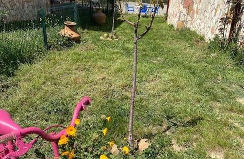 Gokceada Villa | Ela hanımın villası