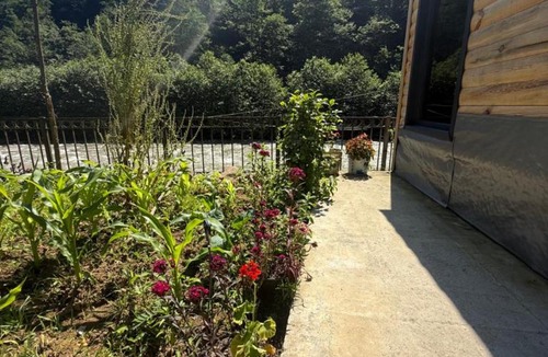 Ayder Hotel | Elfida Tinyhouse