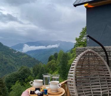 Ayder Ski Chalet | ELVA BUNGALOV