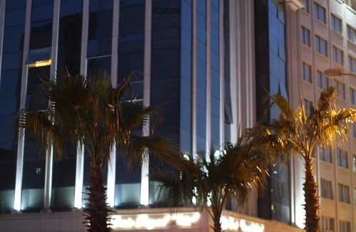 Seyhan Hotel | Emir Royal Hotel