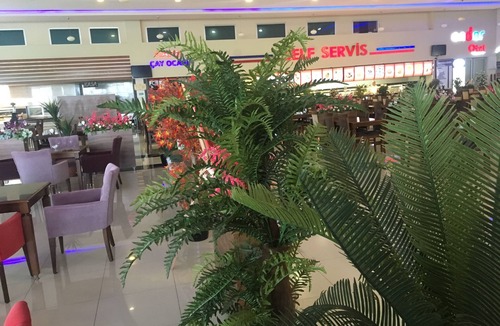 Bozkurt Hotel | Ender Otel