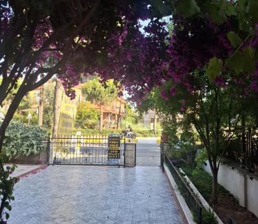 Oren Mahallesi House | Evim Palace