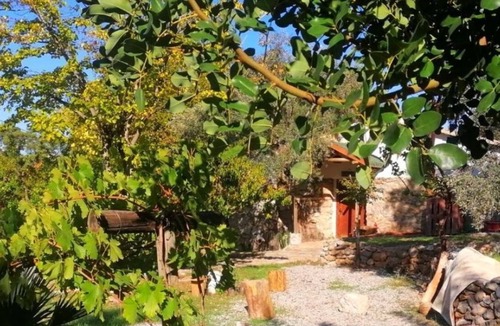 Dalaman House | For the Stone House Experience in Nature, Near the Lake