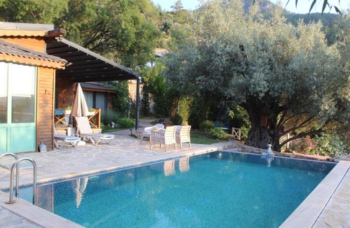 Yesiluzumlu Villa | Hayat agaci villas