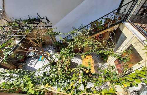 Selcuk Hostel | Hostel ∙ 8 guests