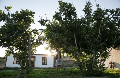 Kalekoy Koyu Resort | İmroz Kardamos Hotel