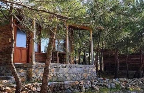 Zeytinli Other | ida bay doğa evleri