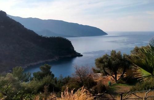 Kabak Valley Cabin | Kök Kamp